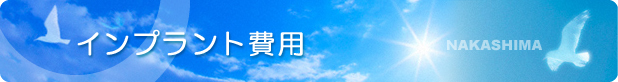 �C���v�����g��p